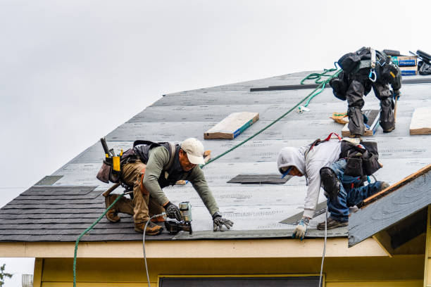 Professional Roofing technician working in Marine City, MI